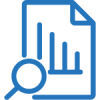 budget-wand-which-report-version-icon (1)